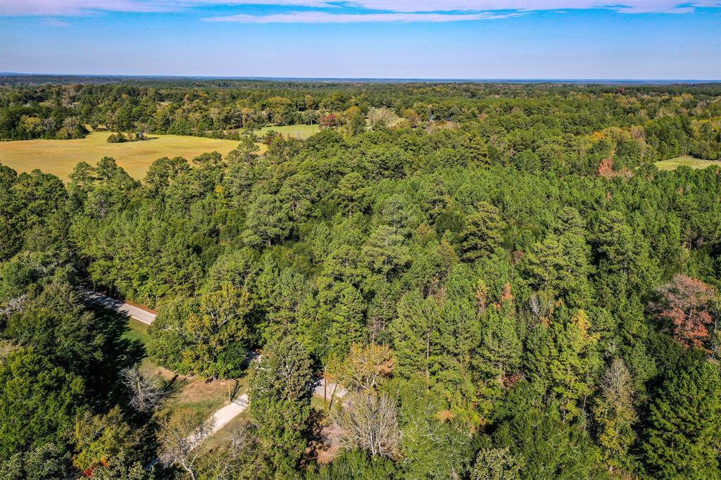 Tract 2 Fm 405, Huntsville, Texas image 9