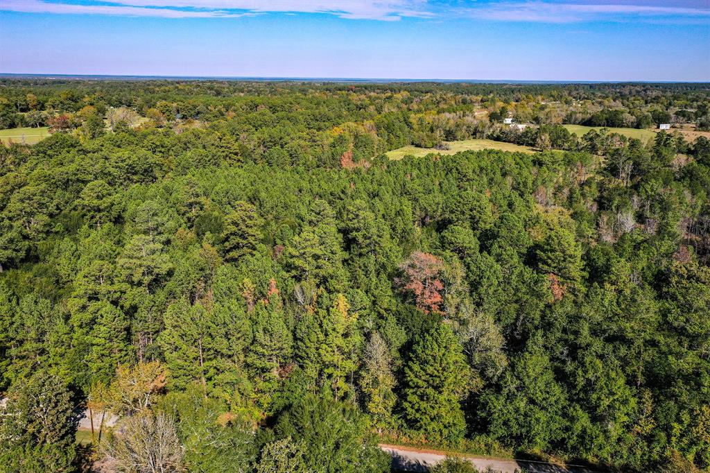 Tract 2 Fm 405, Huntsville, Texas image 8