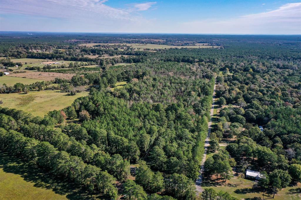 Tract 2 Fm 405, Huntsville, Texas image 12