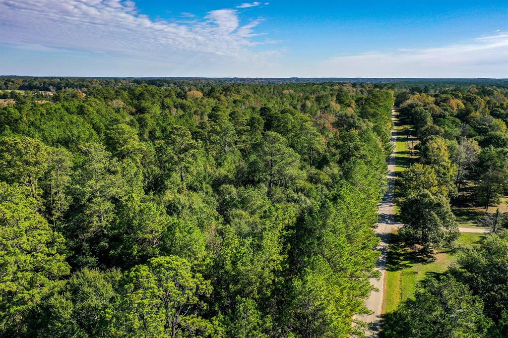 Tract 2 Fm 405, Huntsville, Texas image 3