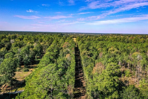 Vacant Land For Sale - TRACT 2 Fm 405<br/> Huntsville, TX 77340