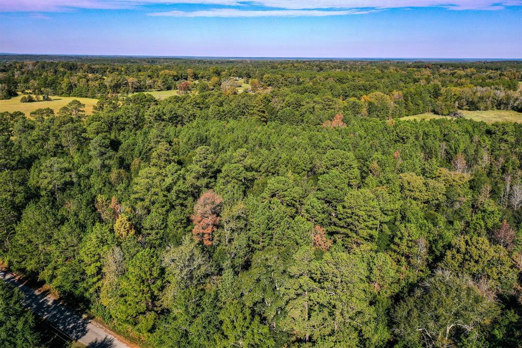 Tract 2 Fm 405, Huntsville, Texas image 10