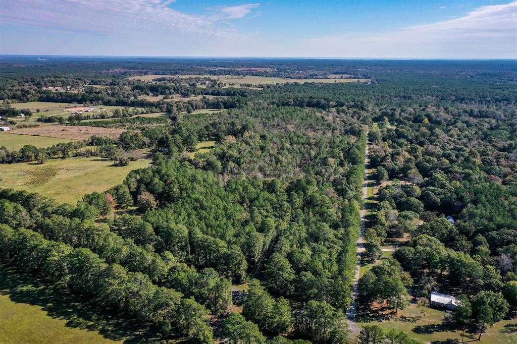 Tract 2 Fm 405, Huntsville, Texas image 11