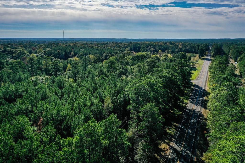 Tract 2 Fm 405, Huntsville, Texas image 4