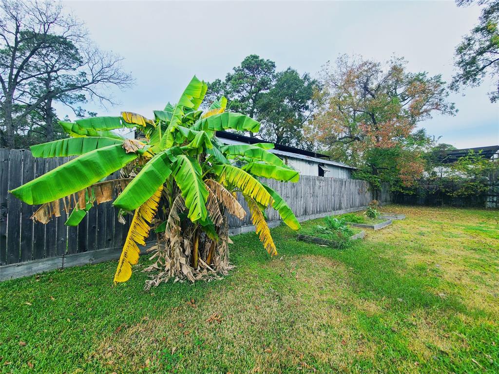 727 Yorkshire Street, Houston, Texas image 21