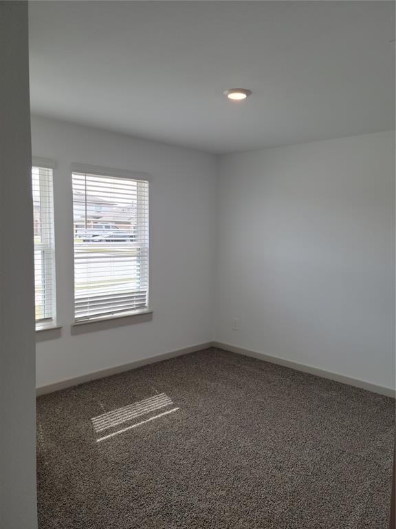 703 Alpine Falls Road, Rosharon, Texas image 3