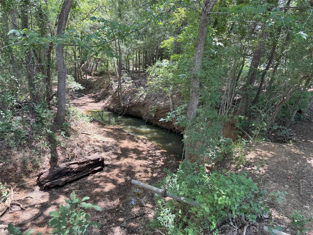 8110 N Hwy 77, Lexington, Texas image 13