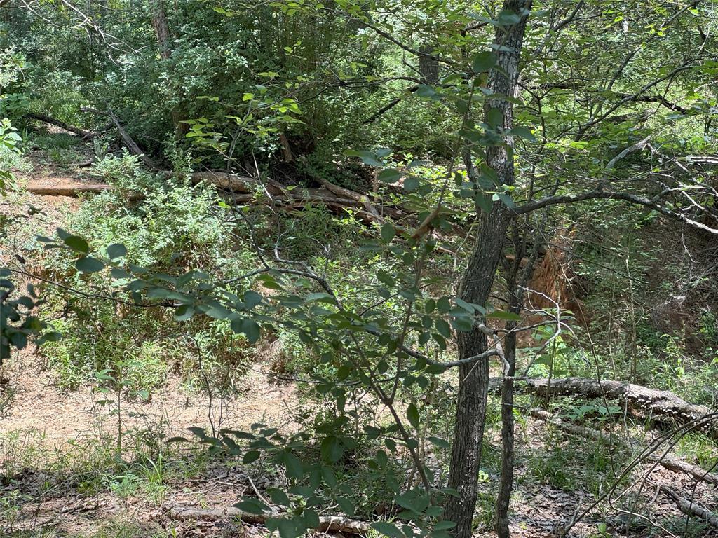 8110 N Hwy 77, Lexington, Texas image 10