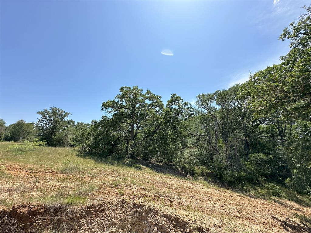 8110 N Hwy 77, Lexington, Texas image 27