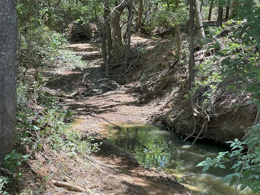 8110 N Hwy 77, Lexington, Texas image 12