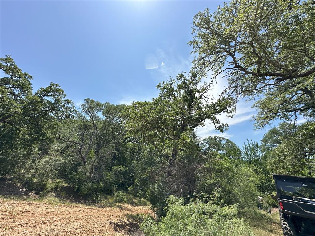 8110 N Hwy 77, Lexington, Texas image 28
