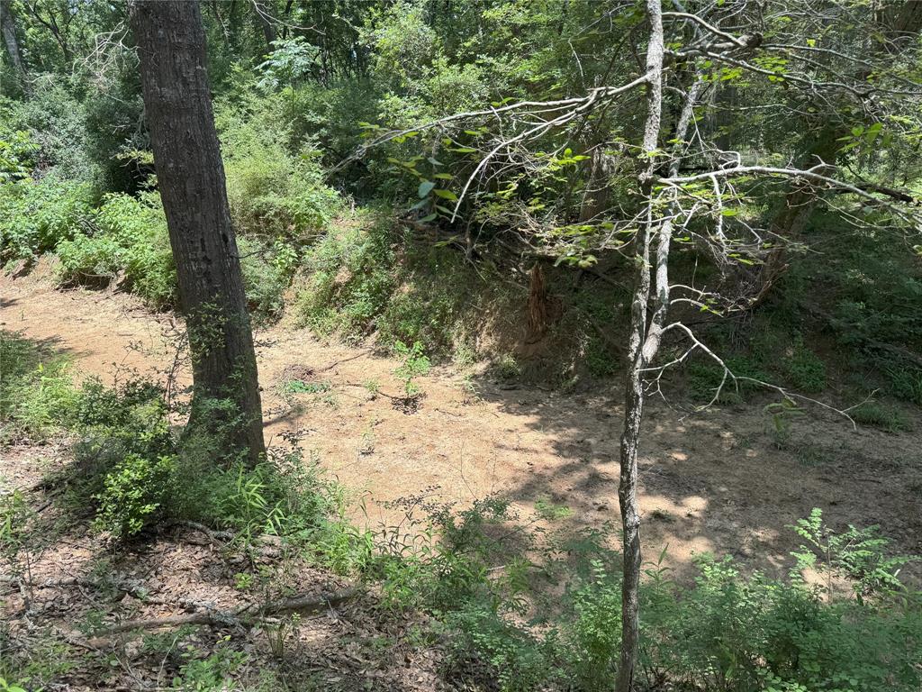 8110 N Hwy 77, Lexington, Texas image 9