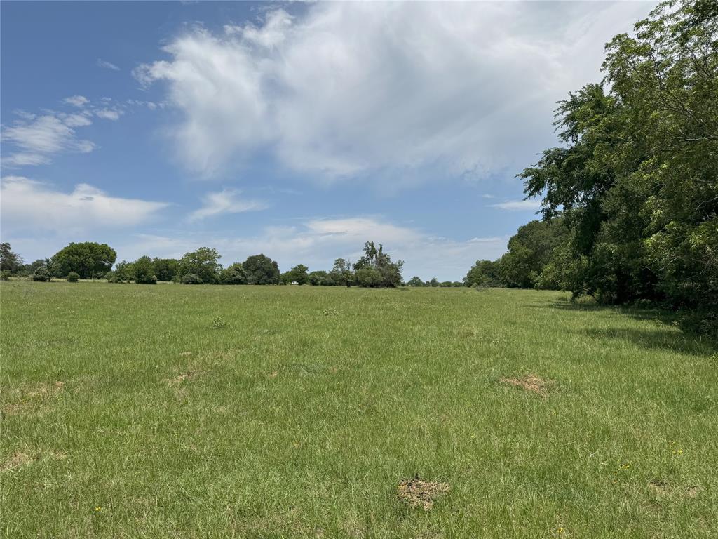 8110 N Hwy 77, Lexington, Texas image 22