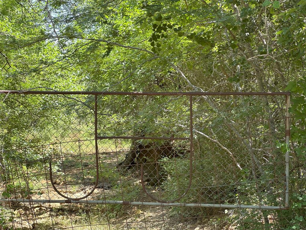 8110 N Hwy 77, Lexington, Texas image 16