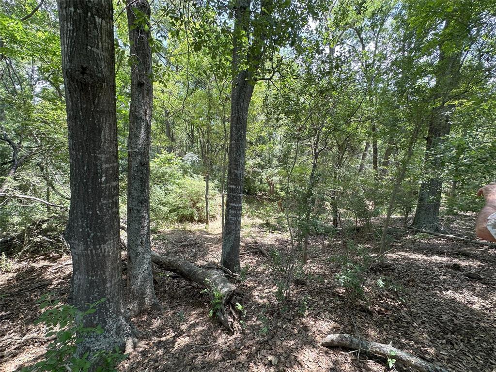 8110 N Hwy 77, Lexington, Texas image 8