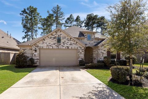 121 N Cadence Hills Loop Loop Conroe TX 77318
