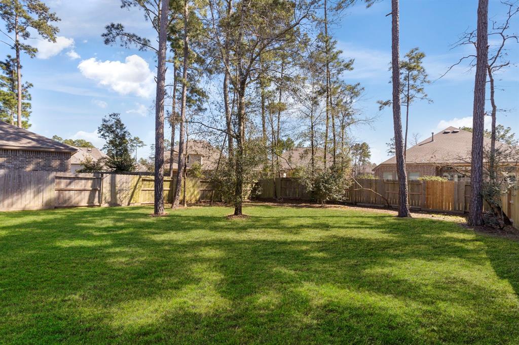 121 N Cadence Hills Loop Loop, Conroe, Texas image 31