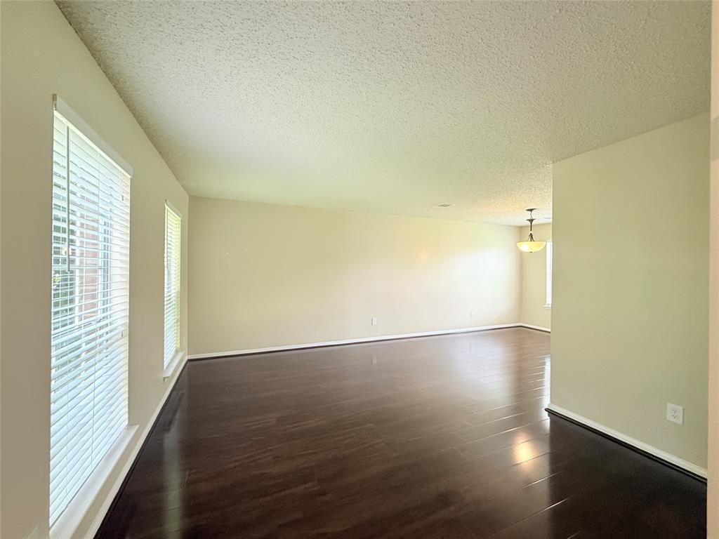 13302 Terralyn Way, Sugar Land, Texas image 6