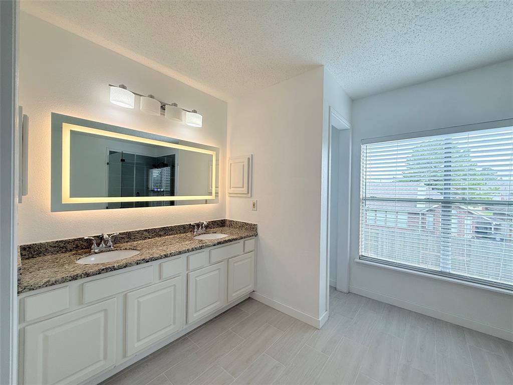 13302 Terralyn Way, Sugar Land, Texas image 13