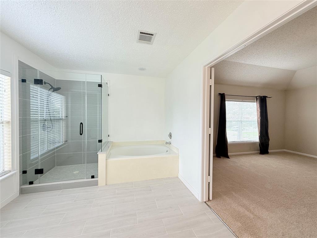 13302 Terralyn Way, Sugar Land, Texas image 16