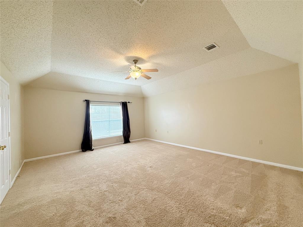 13302 Terralyn Way, Sugar Land, Texas image 10