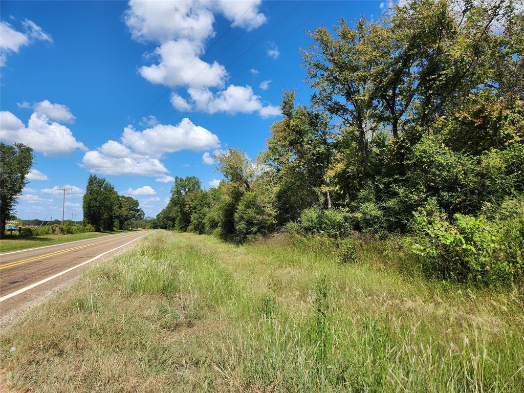 17454 Fm 542, Oakwood, Texas image 14