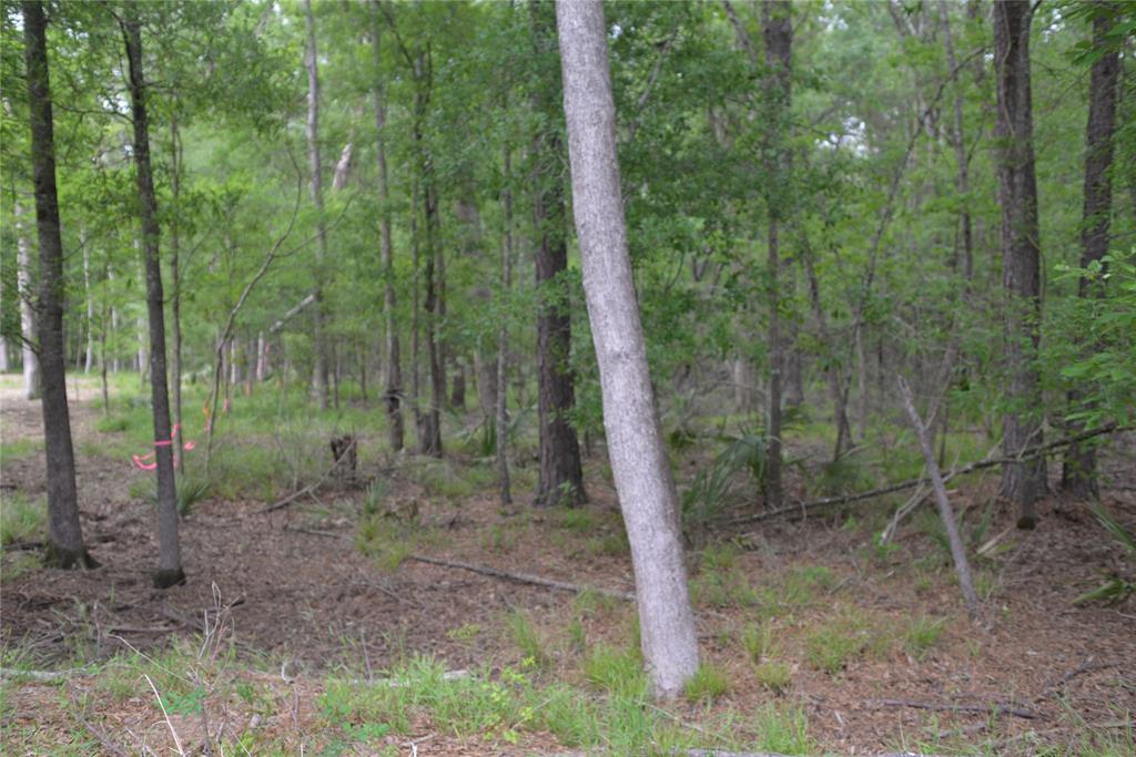 1230 Road 6324, Dayton, Texas image 8