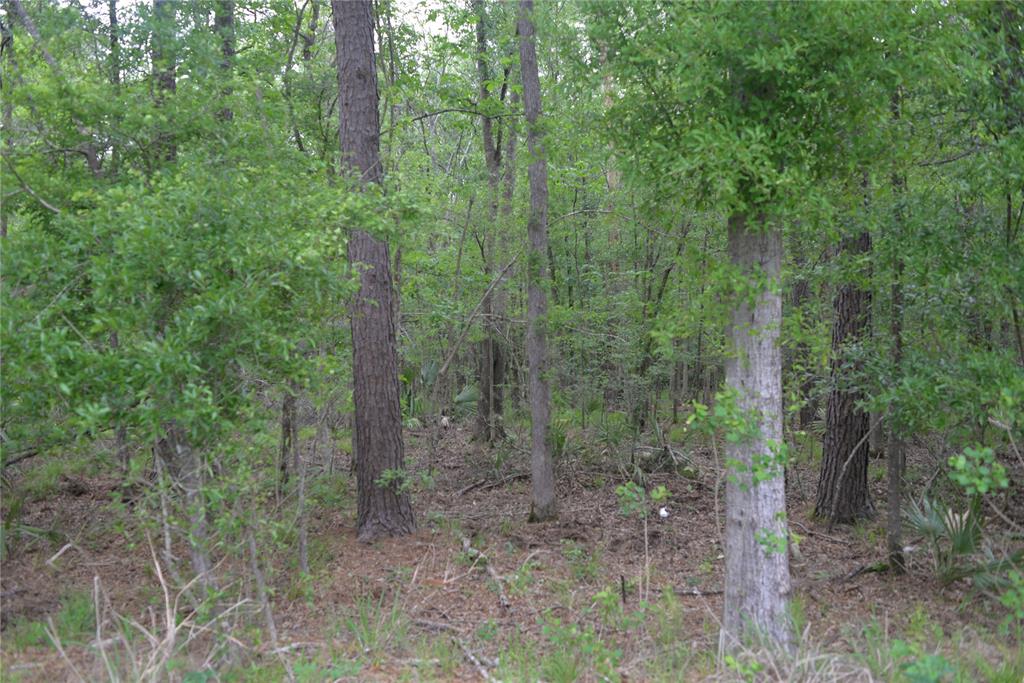 1230 Road 6324, Dayton, Texas image 13