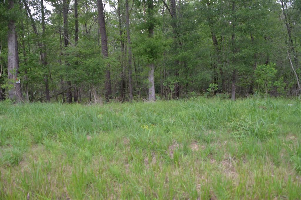 1230 Road 6324, Dayton, Texas image 6