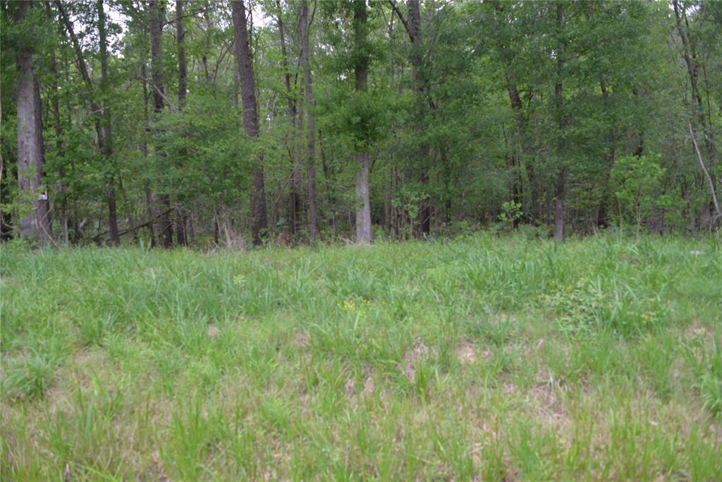 1230 Road 6324, Dayton, Texas image 5