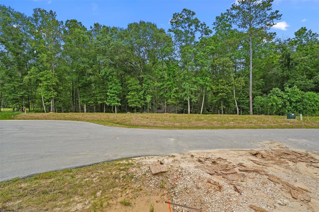 1230 Road 6324, Dayton, Texas image 3