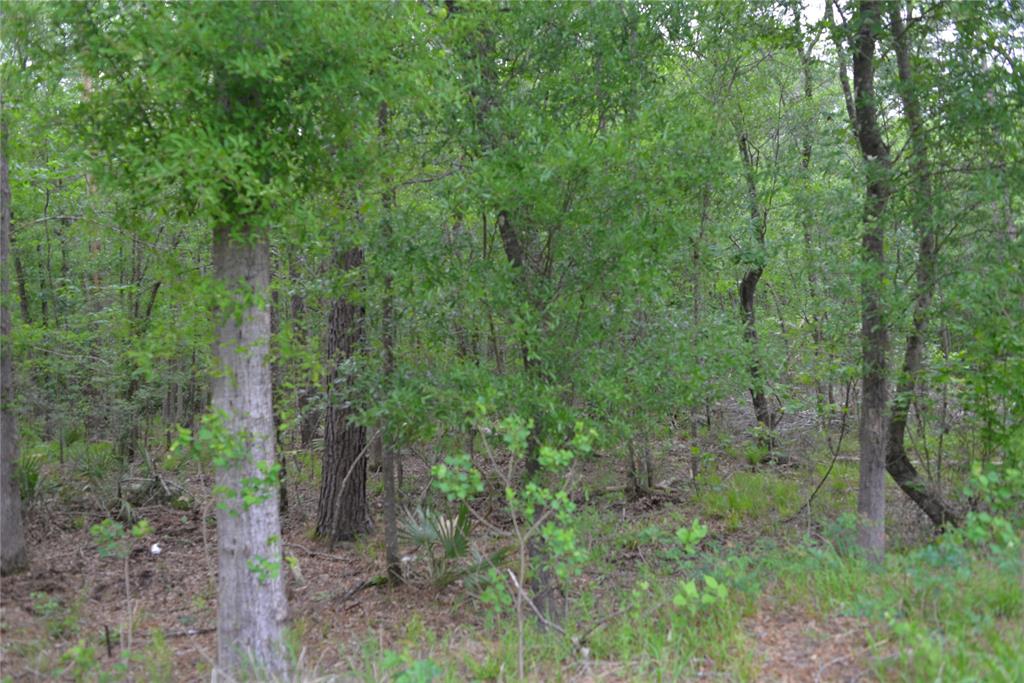 1230 Road 6324, Dayton, Texas image 11