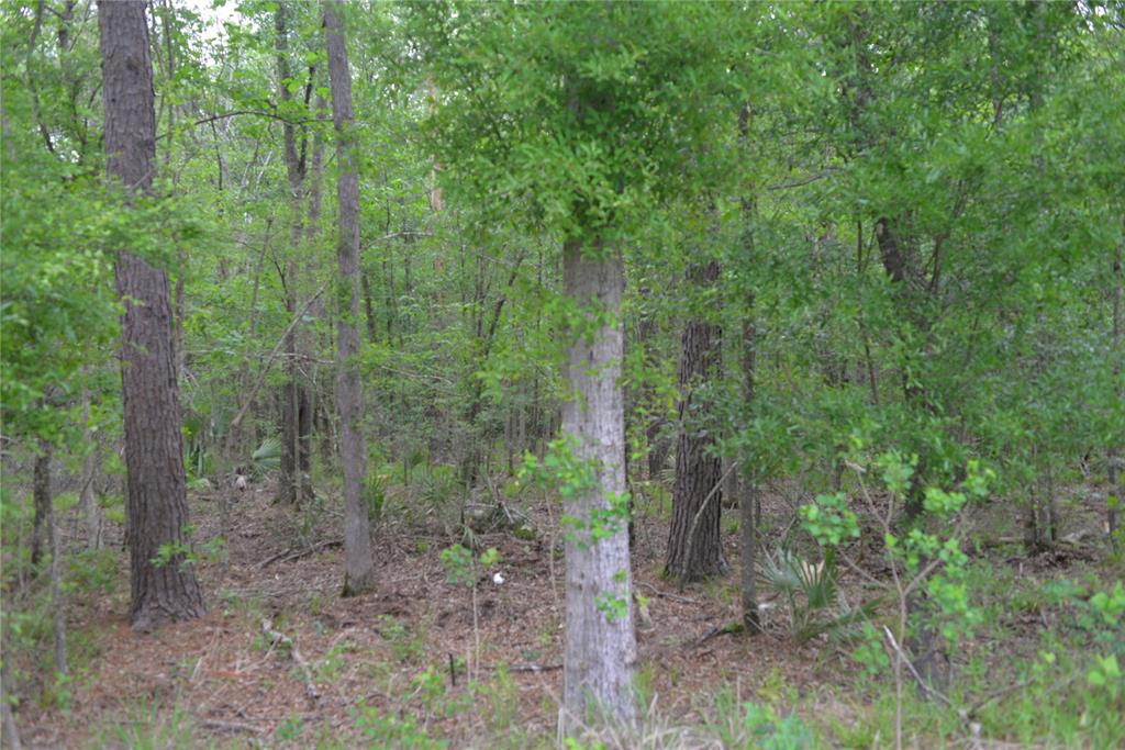 1230 Road 6324, Dayton, Texas image 10