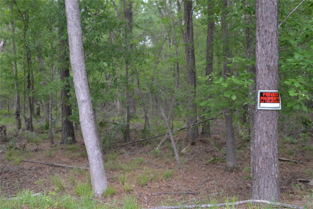 1230 Road 6324, Dayton, Texas image 7