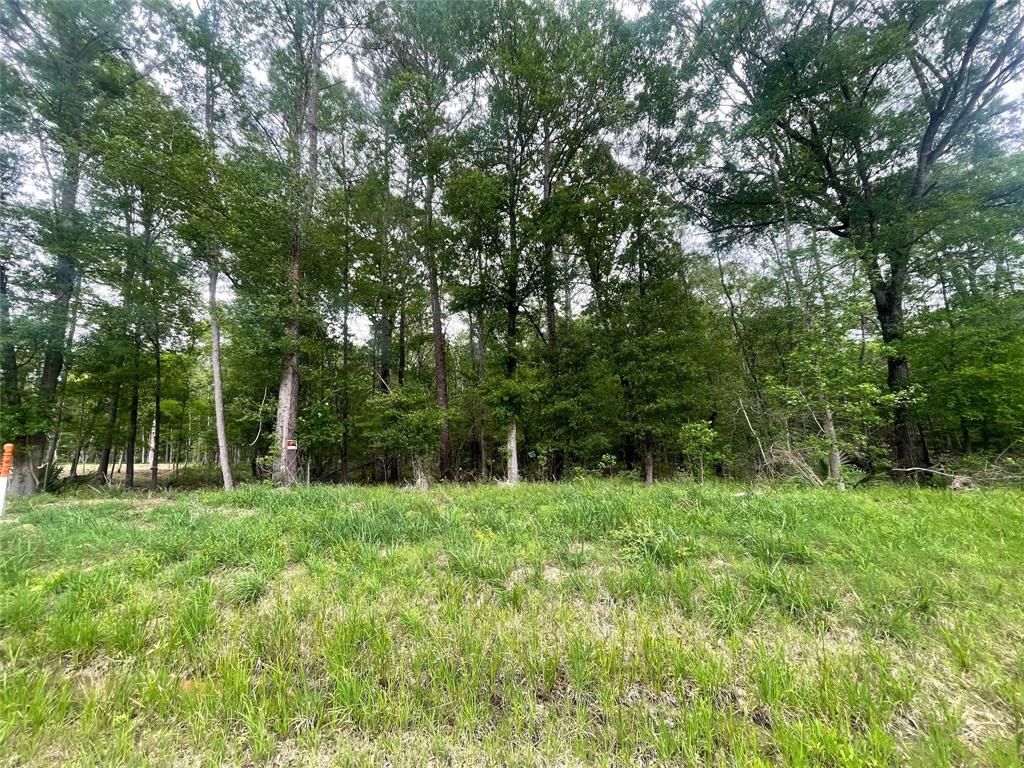 1230 Road 6324, Dayton, Texas image 2