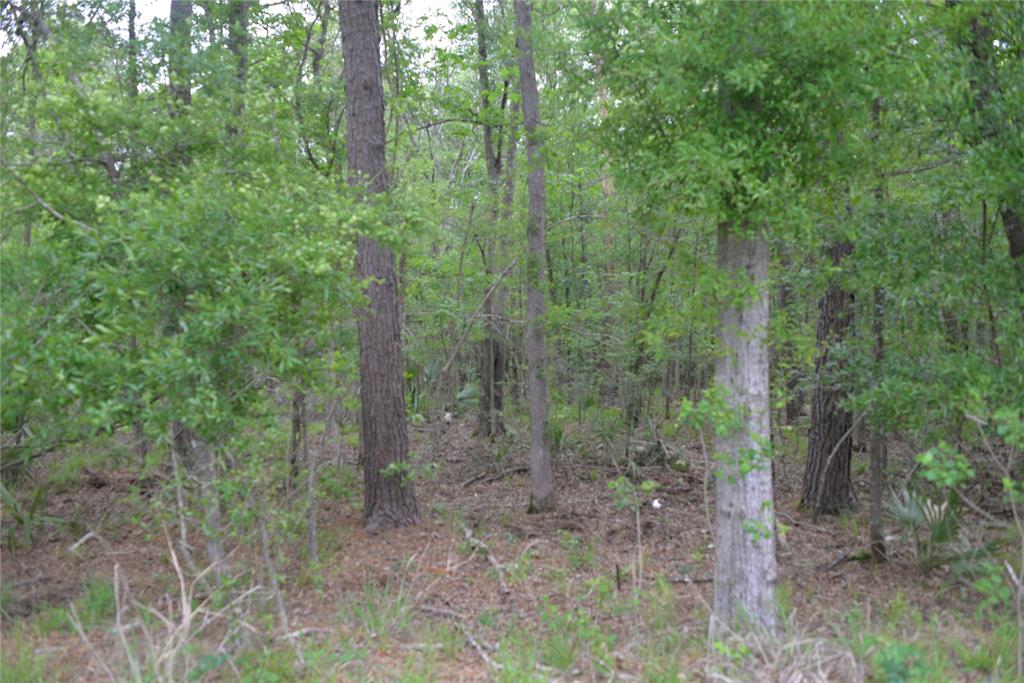 1230 Road 6324, Dayton, Texas image 12