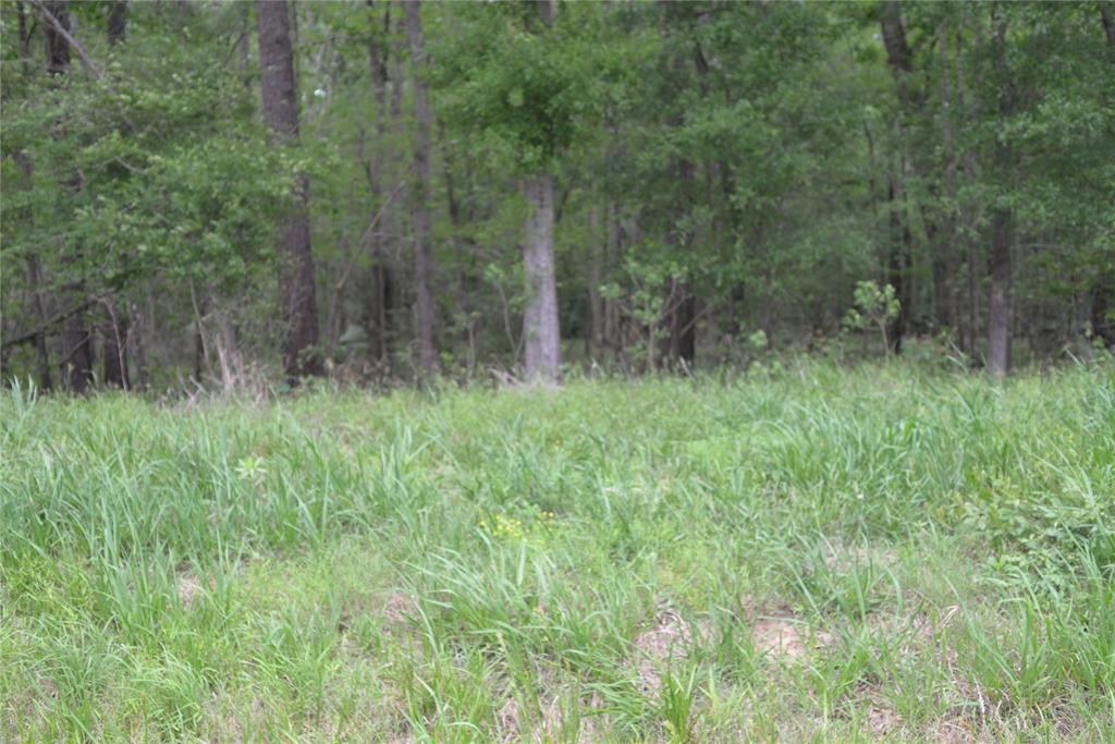 1230 Road 6324, Dayton, Texas image 4