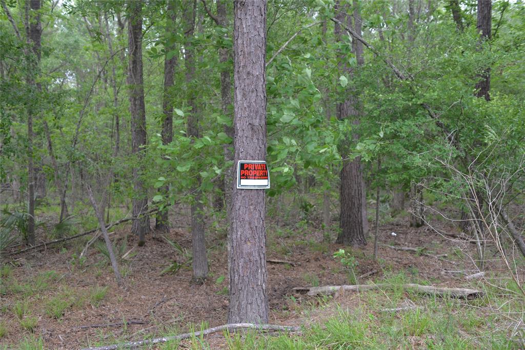 1230 Road 6324, Dayton, Texas image 9