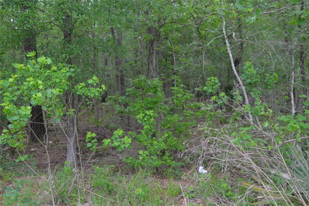 1230 Road 6324, Dayton, Texas image 14