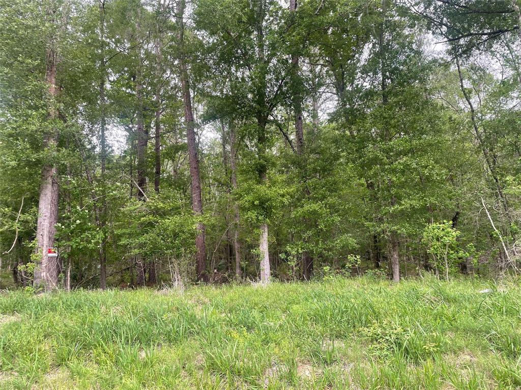 1230 Road 6324, Dayton, Texas image 3