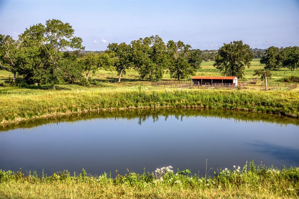 2945 Fm 3090 Road, Navasota, Texas image 9