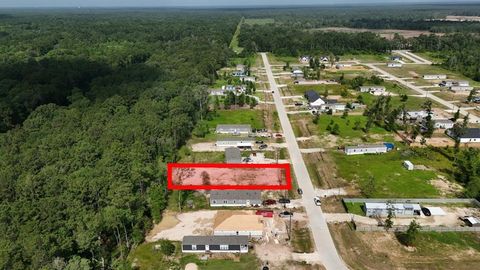 Photo of 1042 Gazing Pine Street, Huffman, TX 77336 (MLS # 89539811)