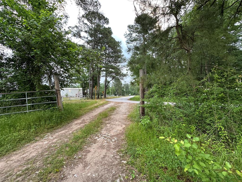 00 Bailey Grove Road, Montgomery, Texas image 4