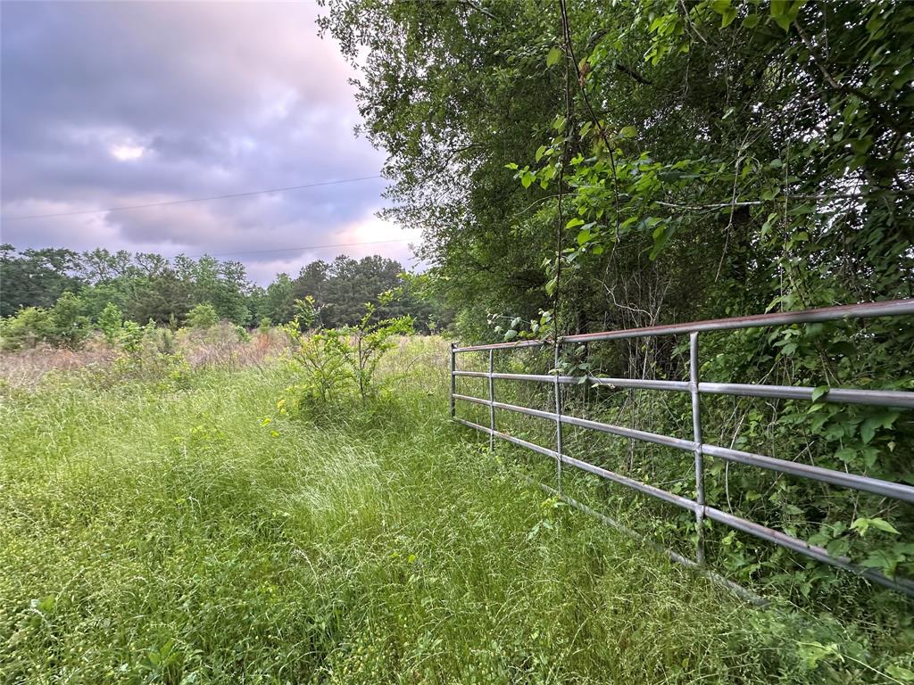 00 Bailey Grove Road, Montgomery, Texas image 6