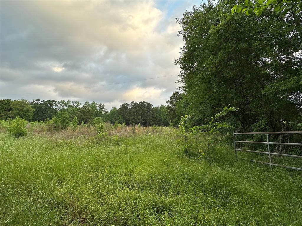 00 Bailey Grove Road, Montgomery, Texas image 5