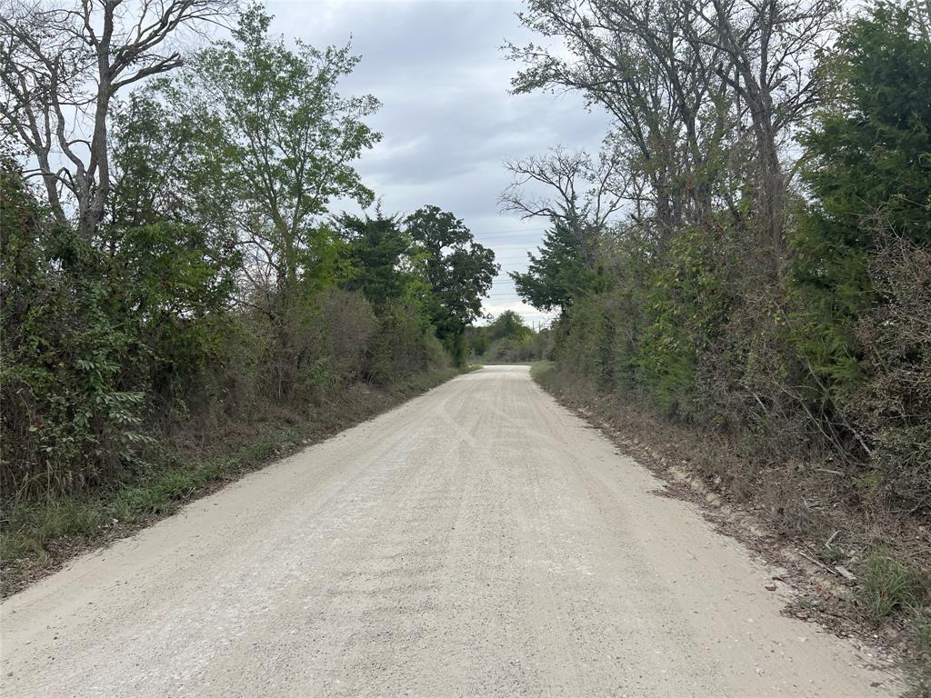 Lot 4 County Road 166, Iola, Texas image 5