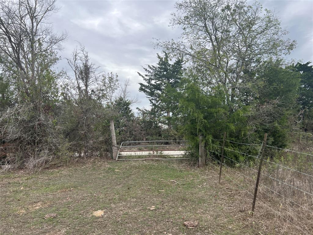 Lot 4 County Road 166, Iola, Texas image 3