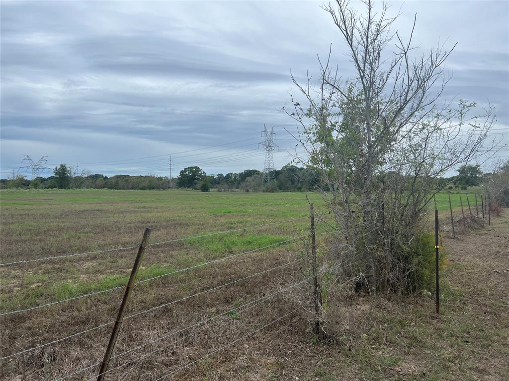 Lot 4 County Road 166, Iola, Texas image 2