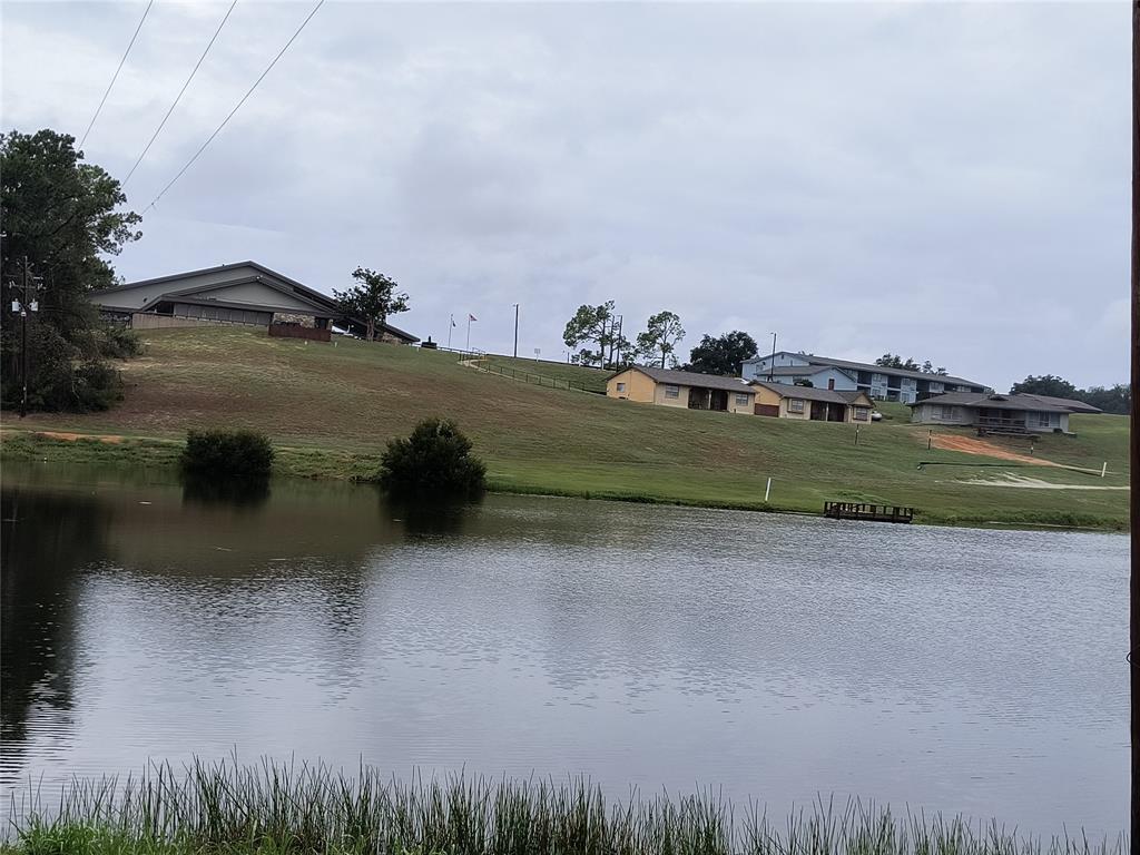 TBD Ellis Drive, Hilltop Lakes, Texas image 4