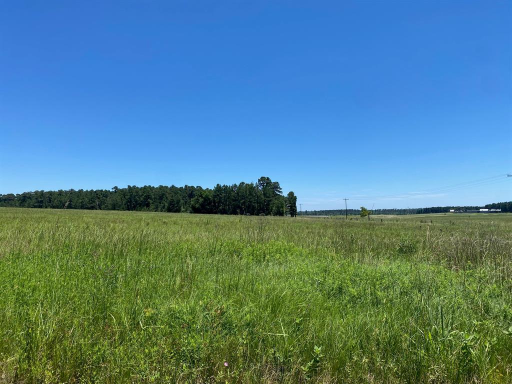 TBD Cr 4025, Crockett, Texas image 13